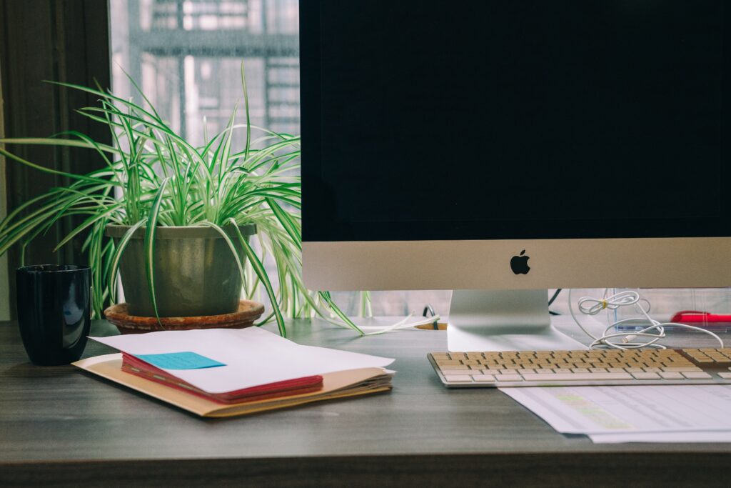 Plante de bureau