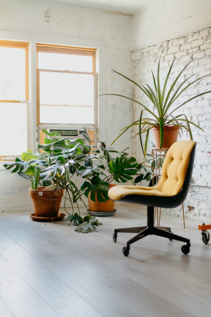 Plusieurs plantes vertes dans des pots dans un bureau bien ensoleillé