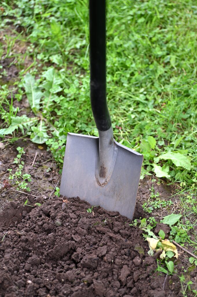 Préparer son potager pour l’hiver