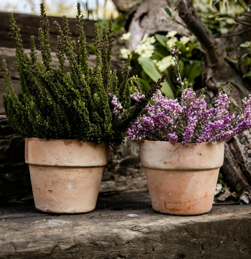 Pot pour plante d’extérieur