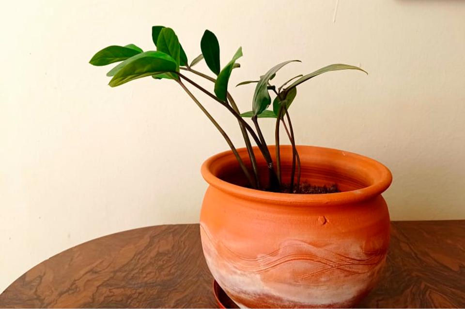 Pot plante interieur -