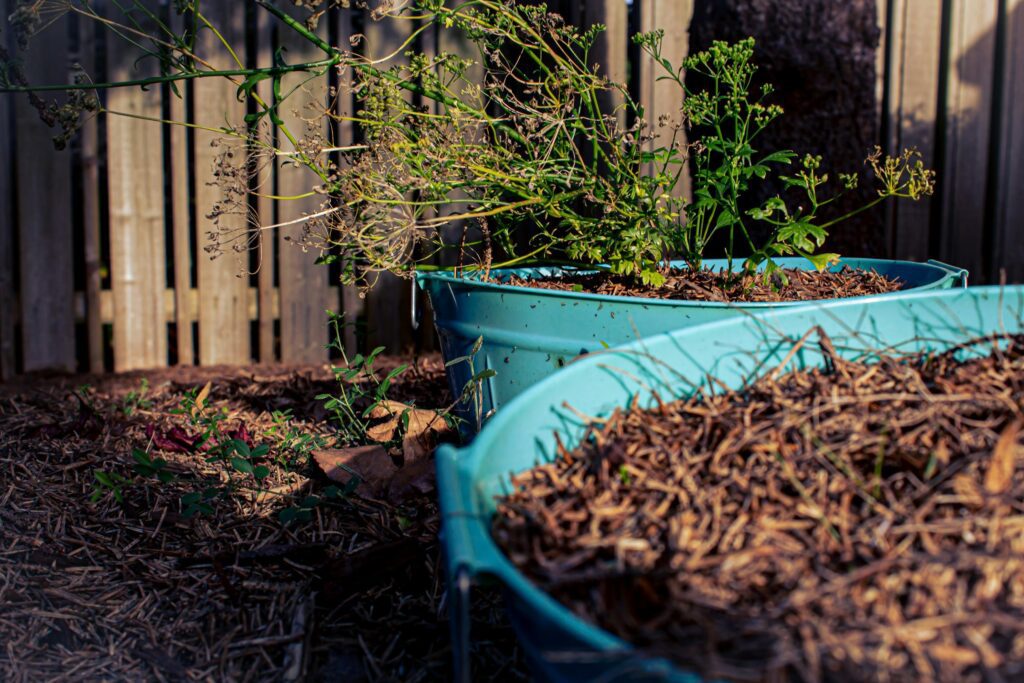 Le paillage en pot 