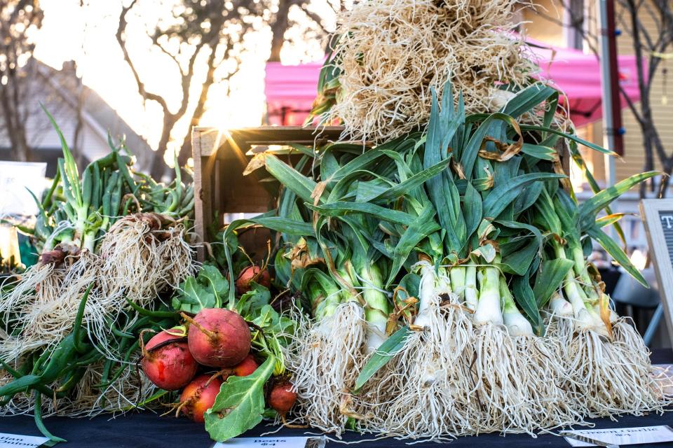 culture legumes racines