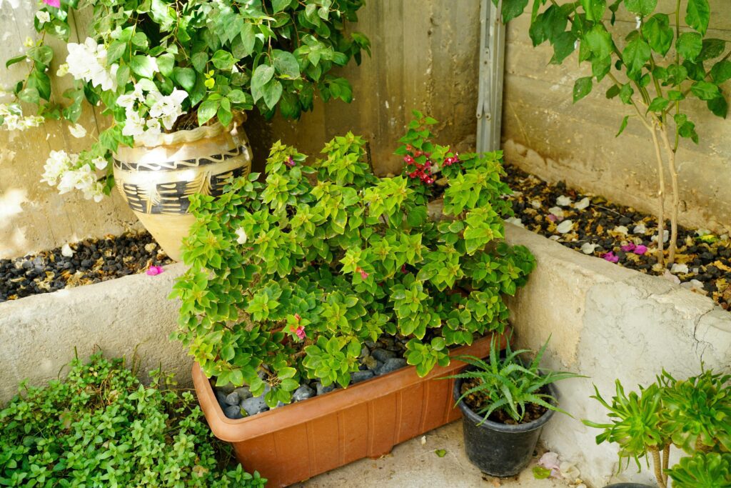 Aménager un petit jardin