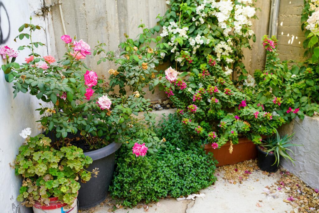 Aménager un petit jardin