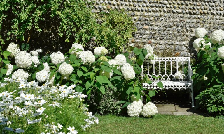 Jardin blanc