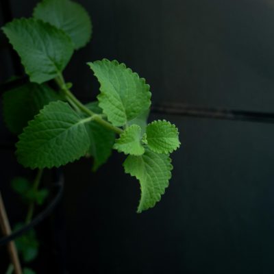 printo-kv--7xf38tgCl8-unsplash (1)